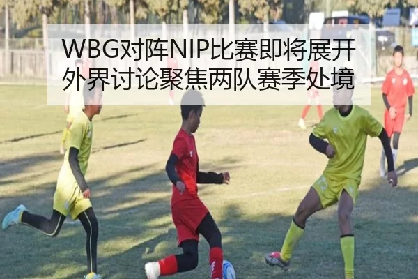 WBG对阵NIP比赛即将展开 外界讨论聚焦两队赛季处境